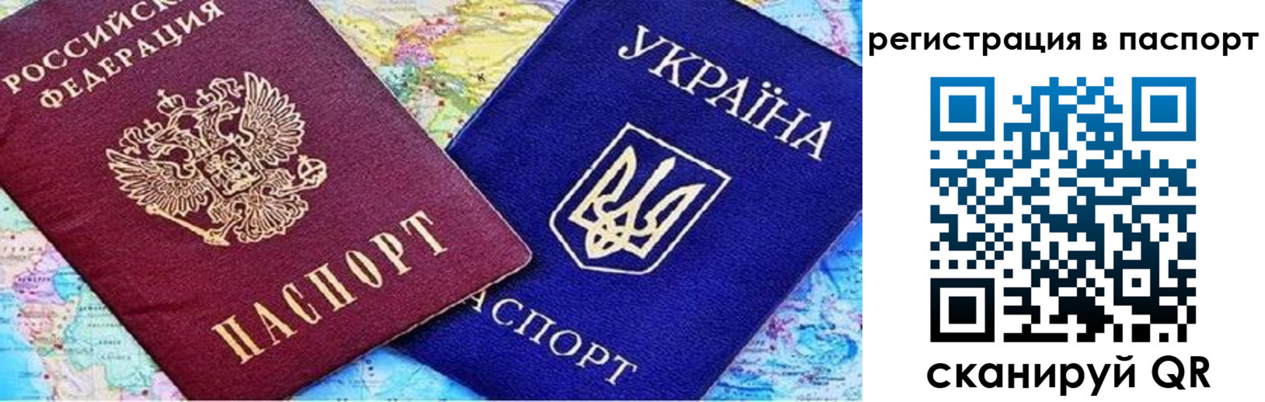 прописка гарантия в Пионерском
